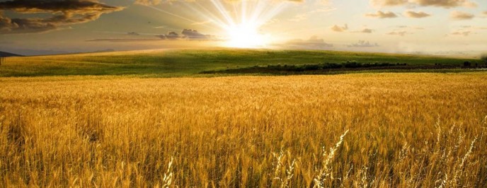 Weirder Than Science!!