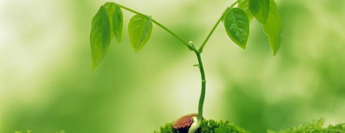 Words are Things---Medical Ones Too