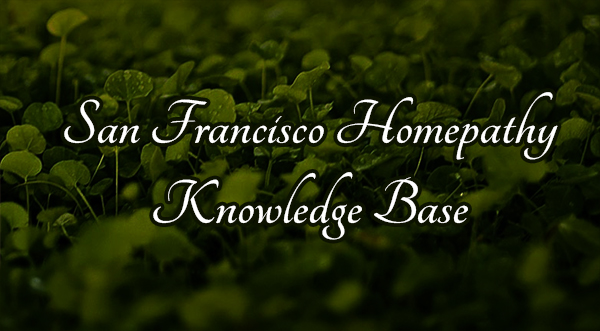 Learn Holistic Health